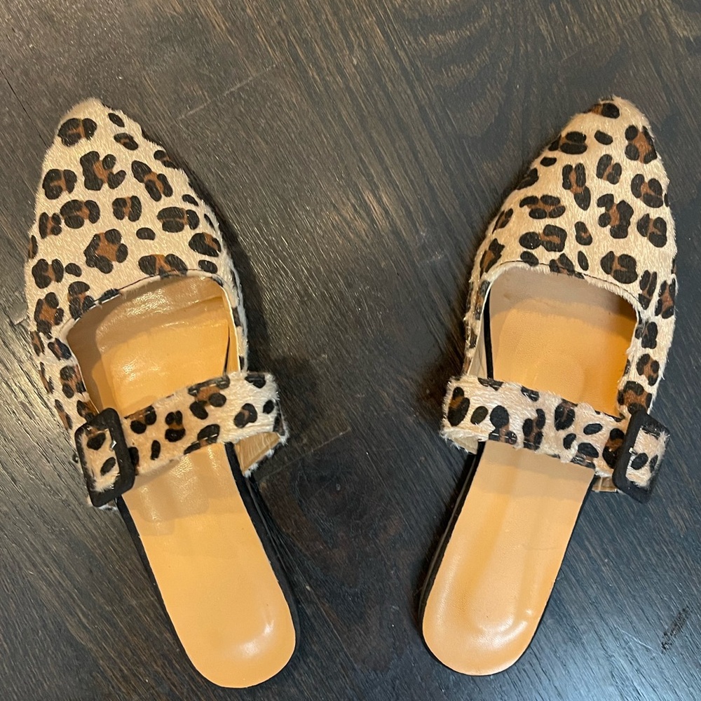 Leopard Flats - Picture 13 of 15